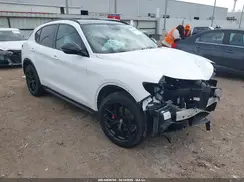 ZASPAJAN4L7C74817 2020 ALFA ROMEO STELVIO