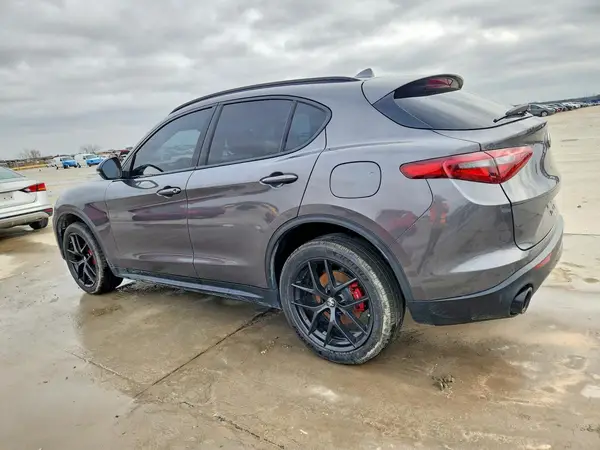ZASPAJAN4L7C96204 2020 ALFA ROMEO STELVIO - Image 2