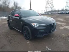 ZASPAJAN5L7C76107 2020 ALFA ROMEO STELVIO