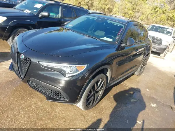 ZASPAJAN6L7C94230 2020 ALFA ROMEO STELVIO - Image 2