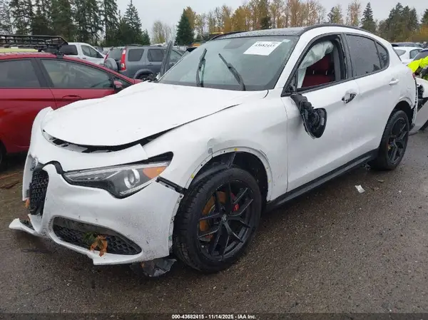 ZASPAJAN7K7C42328 2019 ALFA ROMEO STELVIO - Image 2