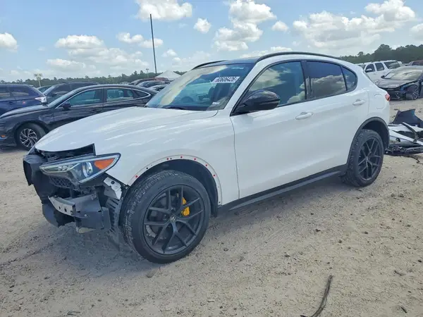 ZASPAJAN7L7C95080 2020 ALFA ROMEO STELVIO - Image 1