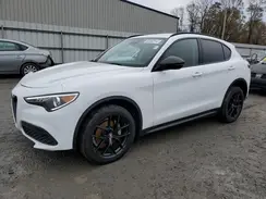 ZASPAJAN7M7D08850 2021 ALFA ROMEO STELVIO