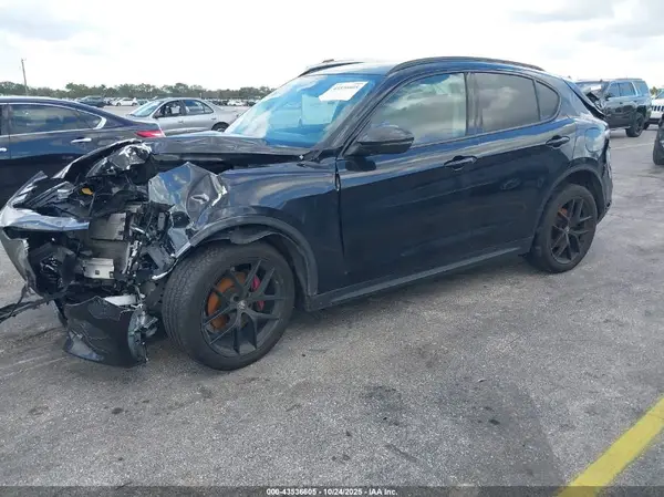ZASPAJAN8K7C63768 2019 ALFA ROMEO STELVIO - Image 2