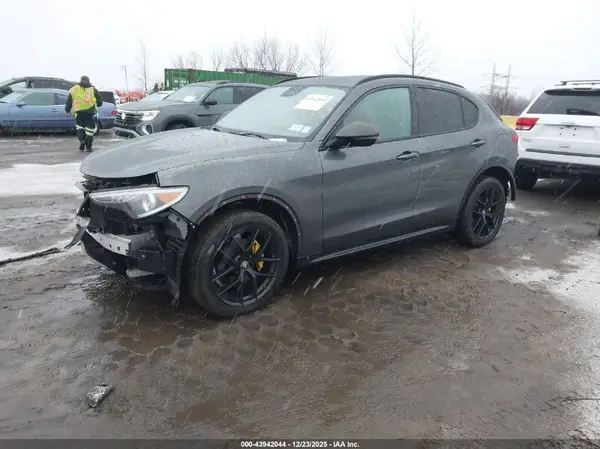 ZASPAJAN8K7C71501 2019 ALFA ROMEO STELVIO - Image 2