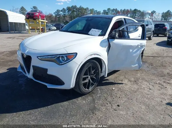 ZASPAJAN8L7C92673 2020 ALFA ROMEO STELVIO - Image 2