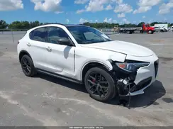 ZASPAJAN9K7C60393 2019 ALFA ROMEO STELVIO