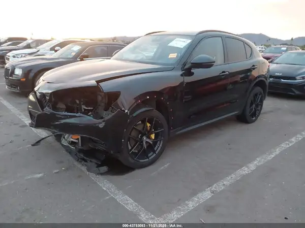 ZASPAJAN9L7C95405 2020 ALFA ROMEO STELVIO - Image 2
