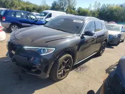 ZASPAKAN0K7C72163 2019 ALFA ROMEO STELVIO