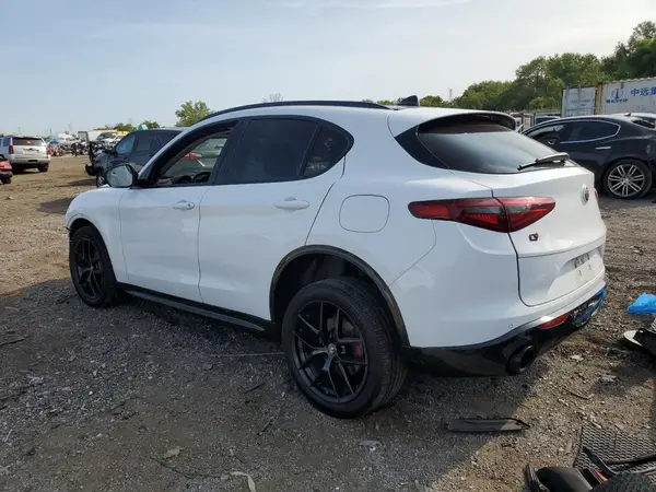 ZASPAKAN0L7C76439 2020 ALFA ROMEO STELVIO - Image 2