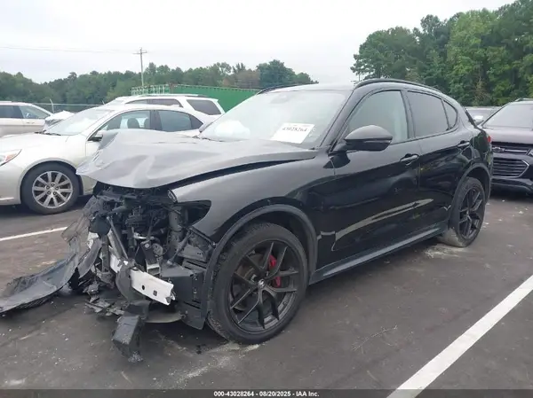 ZASPAKAN0L7C90759 2020 ALFA ROMEO STELVIO - Image 2