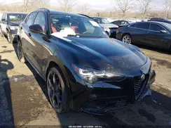 ZASPAKAN1S7D95342 2025 ALFA ROMEO STELVIO