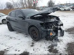ZASPAKAN2K7C71578 2019 ALFA ROMEO STELVIO