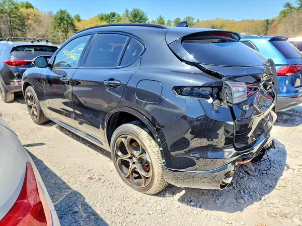 ZASPAKAN2S7D99741 2025 ALFA ROMEO STELVIO - Image 2