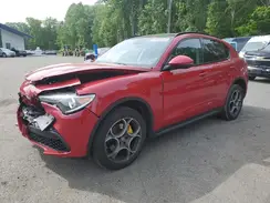 ZASPAKAN3K7C30988 2019 ALFA ROMEO STELVIO