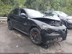 ZASPAKAN3K7C49380 2019 ALFA ROMEO STELVIO