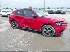 ZASPAKAN3M7D00556 2021 ALFA ROMEO STELVIO