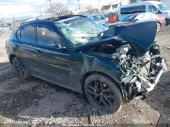 ZASPAKAN4K7C40834 2019 ALFA ROMEO STELVIO