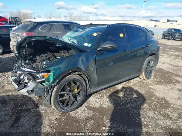 ZASPAKAN4K7C40834 2019 ALFA ROMEO STELVIO - Image 2