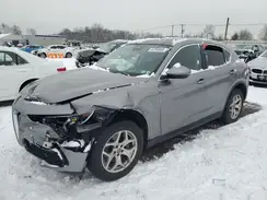 ZASPAKAN4M7D18791 2021 ALFA ROMEO STELVIO