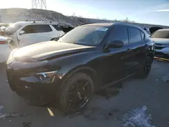 ZASPAKAN5K7C50286 2019 ALFA ROMEO STELVIO
