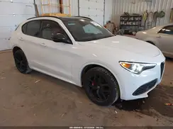 ZASPAKAN5L7C76534 2020 ALFA ROMEO STELVIO