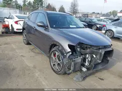 ZASPAKAN7K7C30248 2019 ALFA ROMEO STELVIO