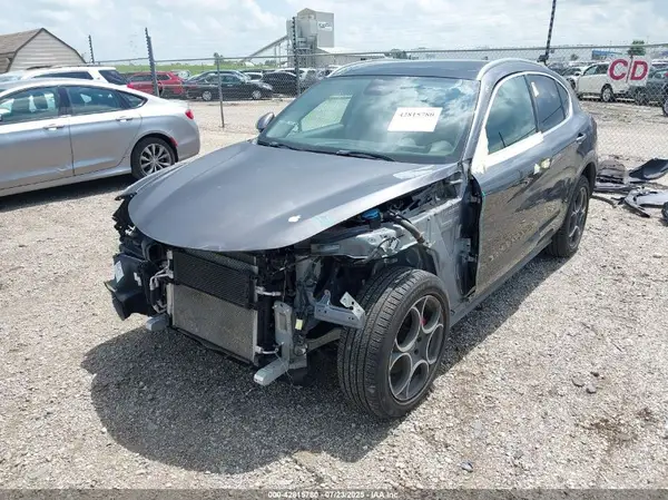 ZASPAKAN7K7C30735 2019 ALFA ROMEO STELVIO - Image 2