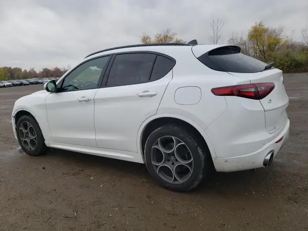 ZASPAKAN7L7C84666 2020 ALFA ROMEO STELVIO - Image 2