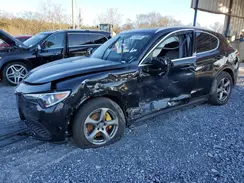 ZASPAKAN8K7C44885 2019 ALFA ROMEO STELVIO