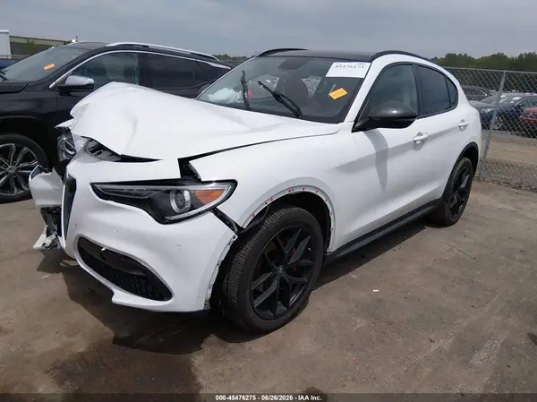 ZASPAKAN8K7C69138 2019 ALFA ROMEO STELVIO - Image 2
