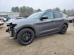 ZASPAKAN8K7C69219 2019 ALFA ROMEO STELVIO