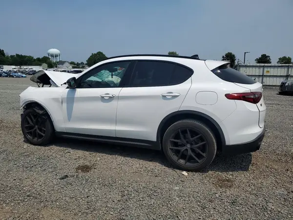 ZASPAKAN8K7C70175 2019 ALFA ROMEO STELVIO - Image 2