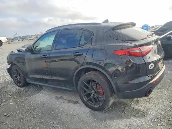 ZASPAKAN8L7C73627 2020 ALFA ROMEO STELVIO - Image 2