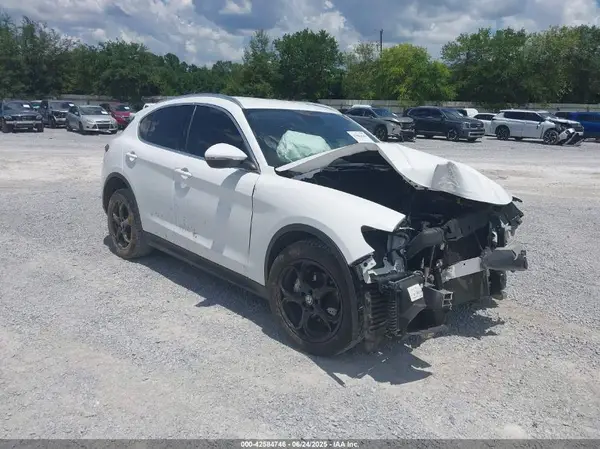 ZASPAKAN9K7C29957 2019 ALFA ROMEO STELVIO - Image 1