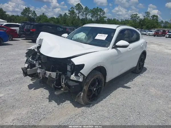 ZASPAKAN9K7C29957 2019 ALFA ROMEO STELVIO - Image 2