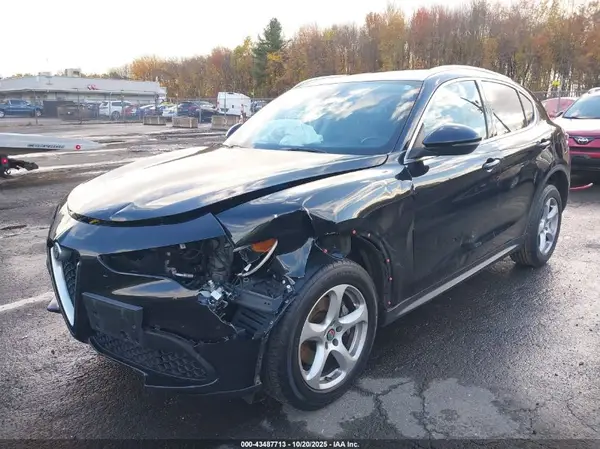 ZASPAKAN9K7C32809 2019 ALFA ROMEO STELVIO - Image 2
