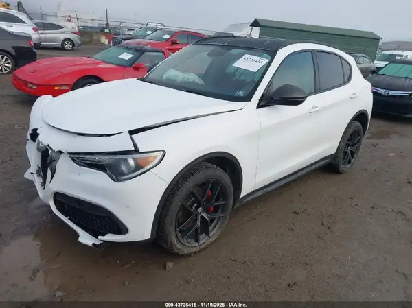 ZASPAKAN9K7C41865 2019 ALFA ROMEO STELVIO - Image 2