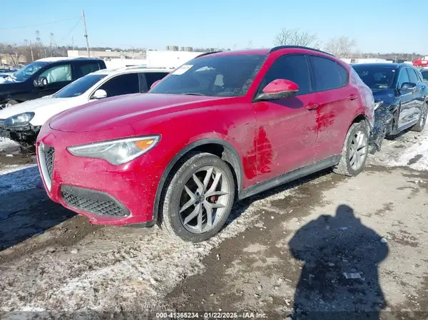 ZASPAKAN9K7C49108 2019 ALFA ROMEO STELVIO - Image 2