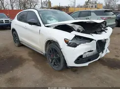 ZASPAKAN9K7C50016 2019 ALFA ROMEO STELVIO