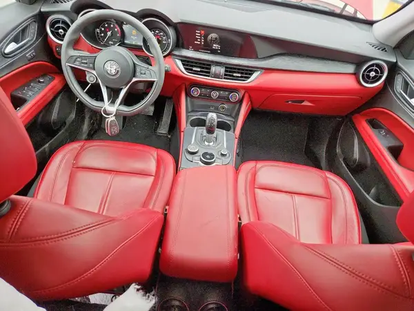 ZASPAKAN9K7C69245 2019 ALFA ROMEO STELVIO - Image 8