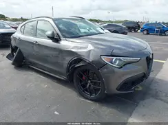 ZASPAKANXK7C71960 2019 ALFA ROMEO STELVIO