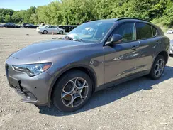 ZASPAKANXS7D95095 2025 ALFA ROMEO STELVIO