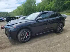 ZASPAKANXS7E03647 2025 ALFA ROMEO STELVIO