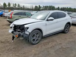 ZASPAKBN0K7C30588 2019 ALFA ROMEO STELVIO