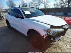 ZASPAKBN0K7C34141 2019 ALFA ROMEO STELVIO