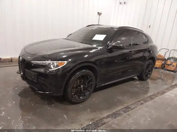 ZASPAKBN0K7C37010 2019 ALFA ROMEO STELVIO - Image 2