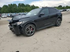 ZASPAKBN0K7C50842 2019 ALFA ROMEO STELVIO