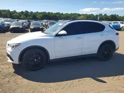 ZASPAKBN1K7C30566 2019 ALFA ROMEO STELVIO