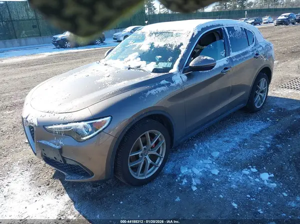 ZASPAKBN1K7C50994 2019 ALFA ROMEO STELVIO - Image 2